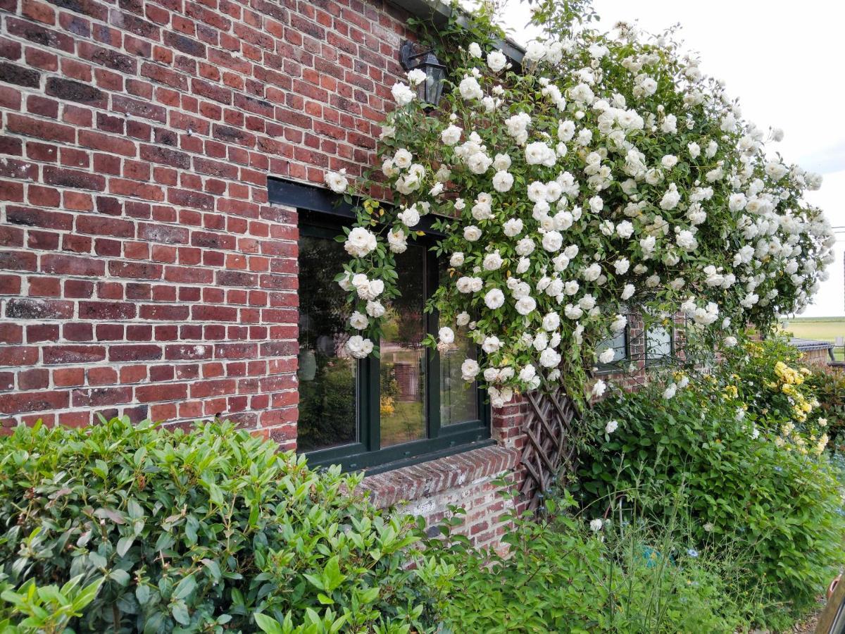 Gite Rural Les Petites Tetes Leuze-en-Hainaut المظهر الخارجي الصورة