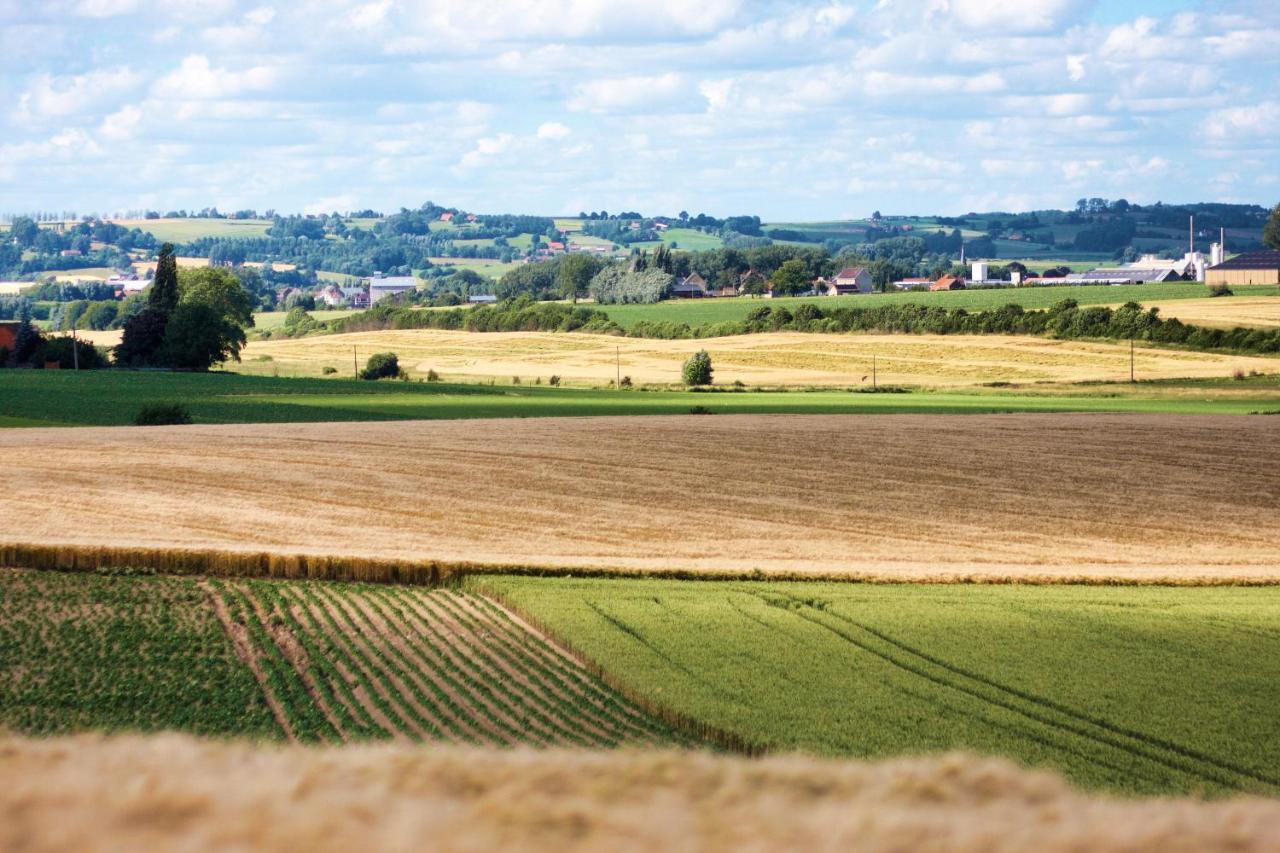 Gite Rural Les Petites Tetes Leuze-en-Hainaut المظهر الخارجي الصورة