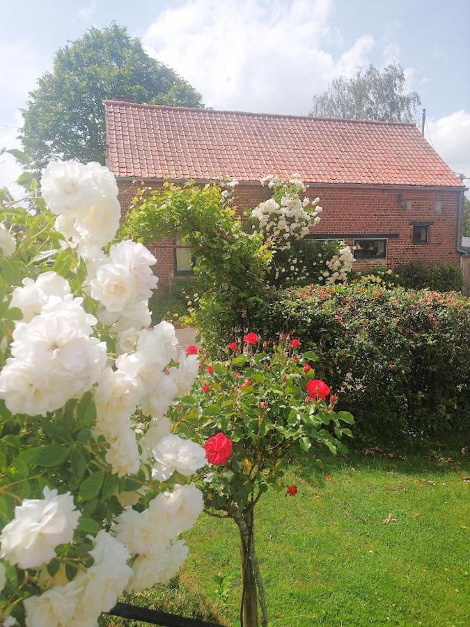 Gite Rural Les Petites Tetes Leuze-en-Hainaut المظهر الخارجي الصورة